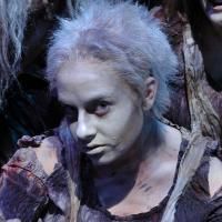 Utah Shakespearean Festival Announces 49th Season